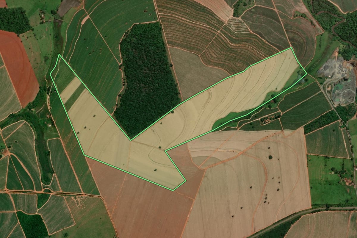 Imagem de satélite do imóvel rural em Reginópolis (SP), com o contorno declarado no CAR desenhado por cima.