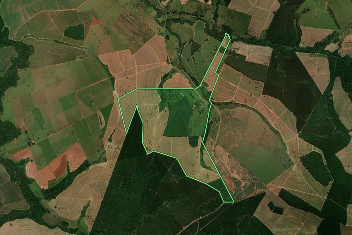 Imagem de satélite do imóvel rural em Reginópolis (SP), com o contorno declarado no CAR desenhado por cima.