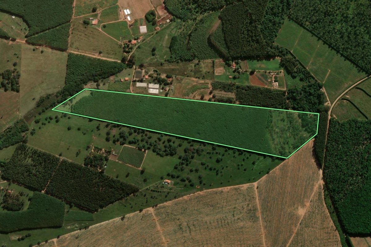Imagem de satélite do imóvel rural em Reginópolis (SP), com o contorno declarado no CAR desenhado por cima.
