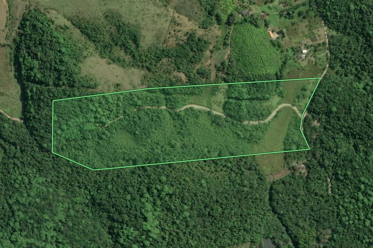 Imagem de satélite do imóvel rural em Registro (SP), com o contorno declarado no CAR desenhado por cima.