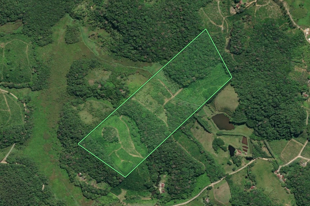 Imagem de satélite do imóvel rural em Registro (SP), com o contorno declarado no CAR desenhado por cima.