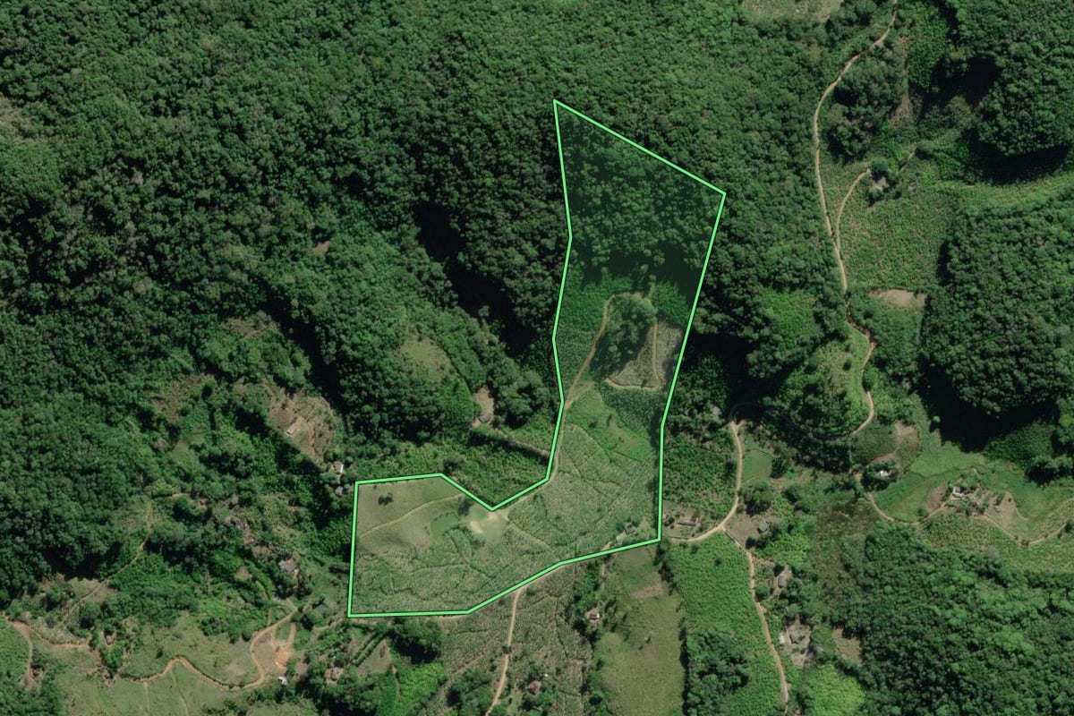 Imagem de satélite do imóvel rural em Registro (SP), com o contorno declarado no CAR desenhado por cima.