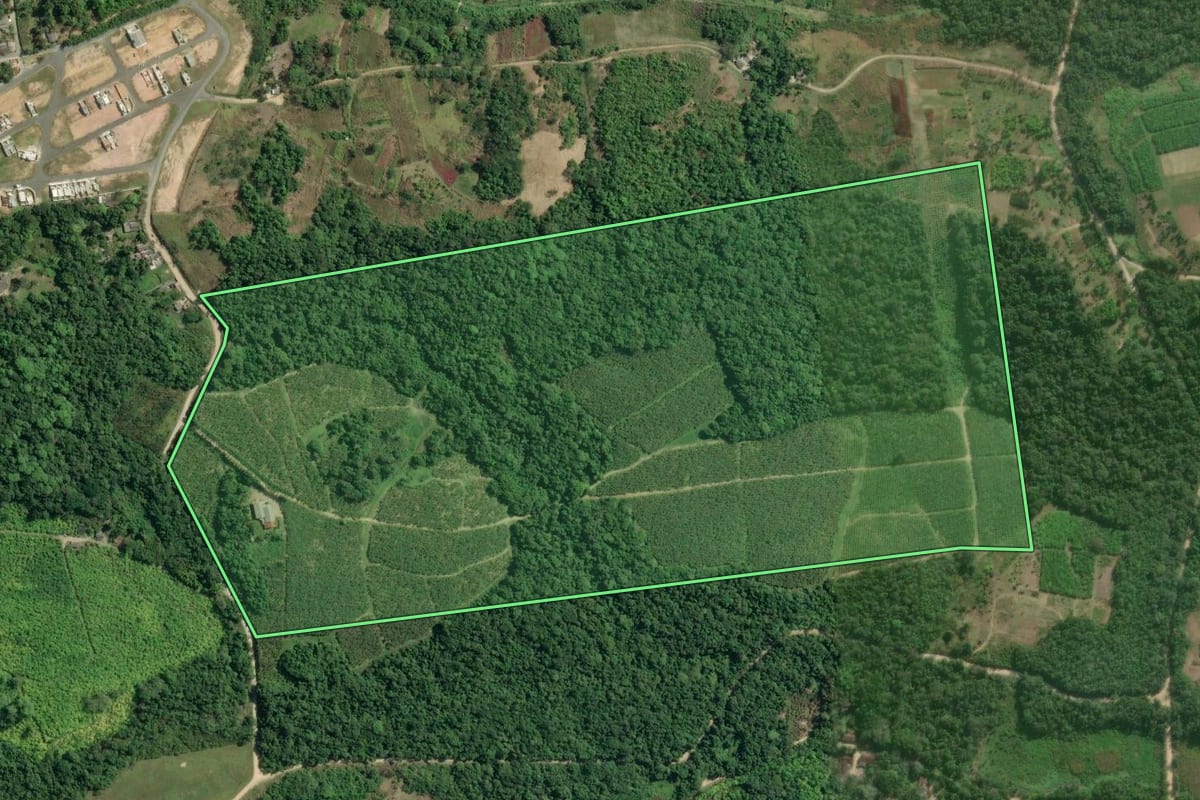 Imagem de satélite do imóvel rural em Registro (SP), com o contorno declarado no CAR desenhado por cima.