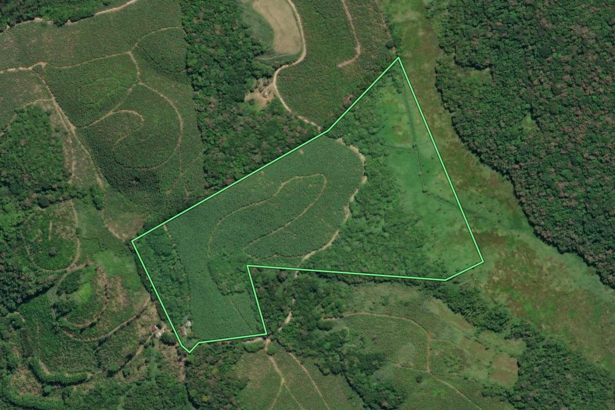 Imagem de satélite do imóvel rural em Registro (SP), com o contorno declarado no CAR desenhado por cima.