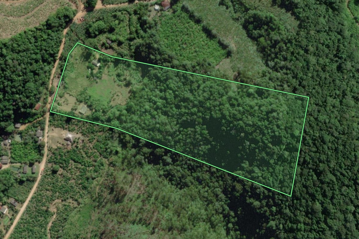 Imagem de satélite do imóvel rural em Registro (SP), com o contorno declarado no CAR desenhado por cima.