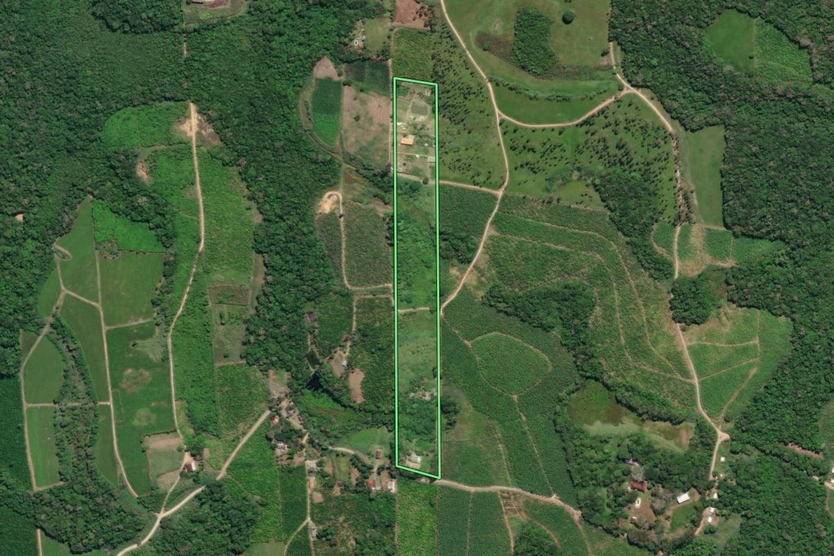 Imagem de satélite do imóvel rural em Registro (SP), com o contorno declarado no CAR desenhado por cima.