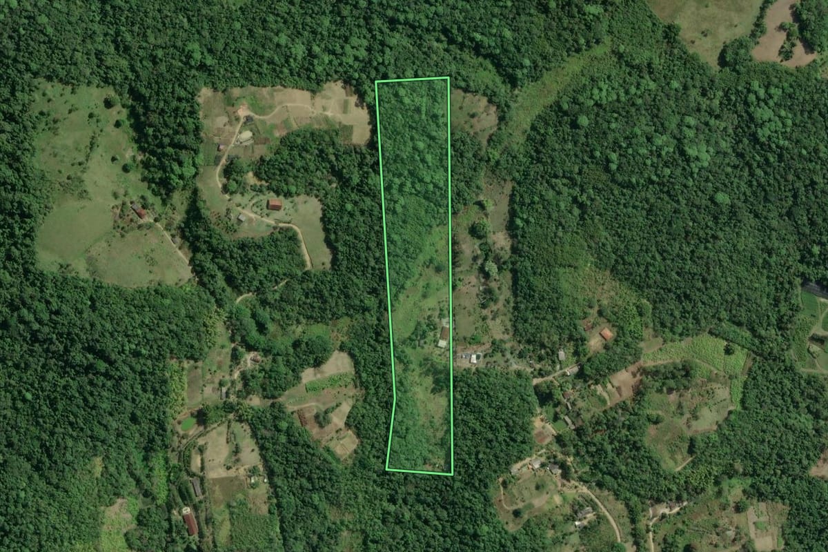 Imagem de satélite do imóvel rural em Registro (SP), com o contorno declarado no CAR desenhado por cima.