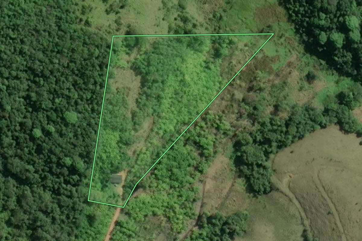 Imagem de satélite do imóvel rural em Registro (SP), com o contorno declarado no CAR desenhado por cima.