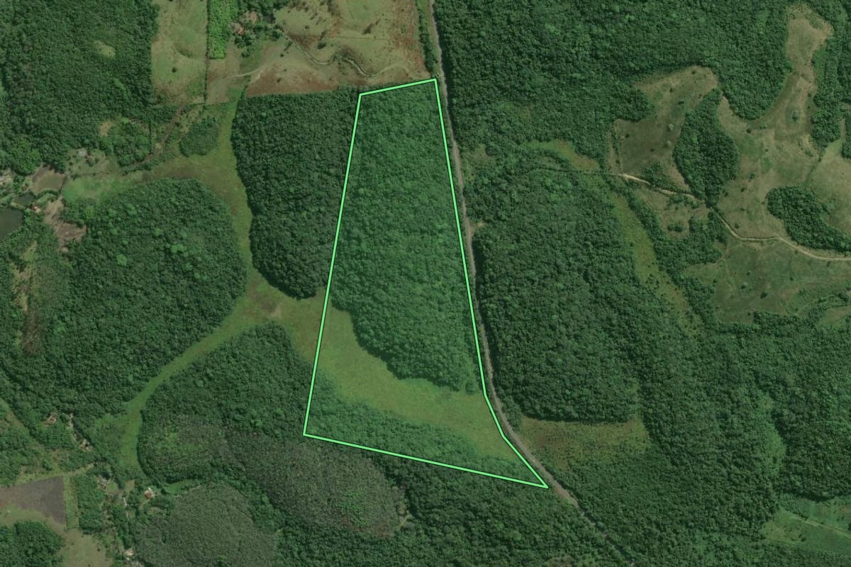 Imagem de satélite do imóvel rural em Registro (SP), com o contorno declarado no CAR desenhado por cima.