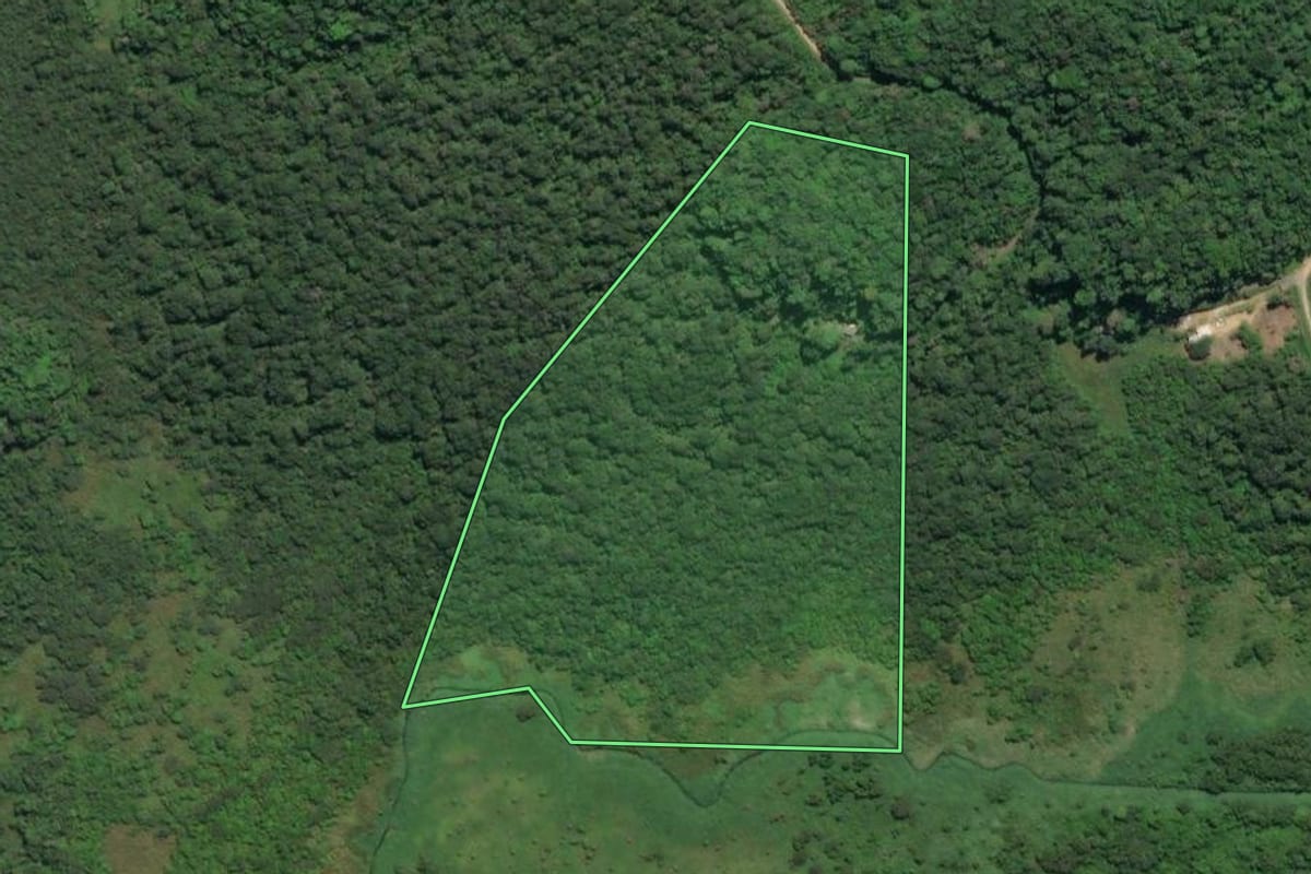 Imagem de satélite do imóvel rural em Registro (SP), com o contorno declarado no CAR desenhado por cima.
