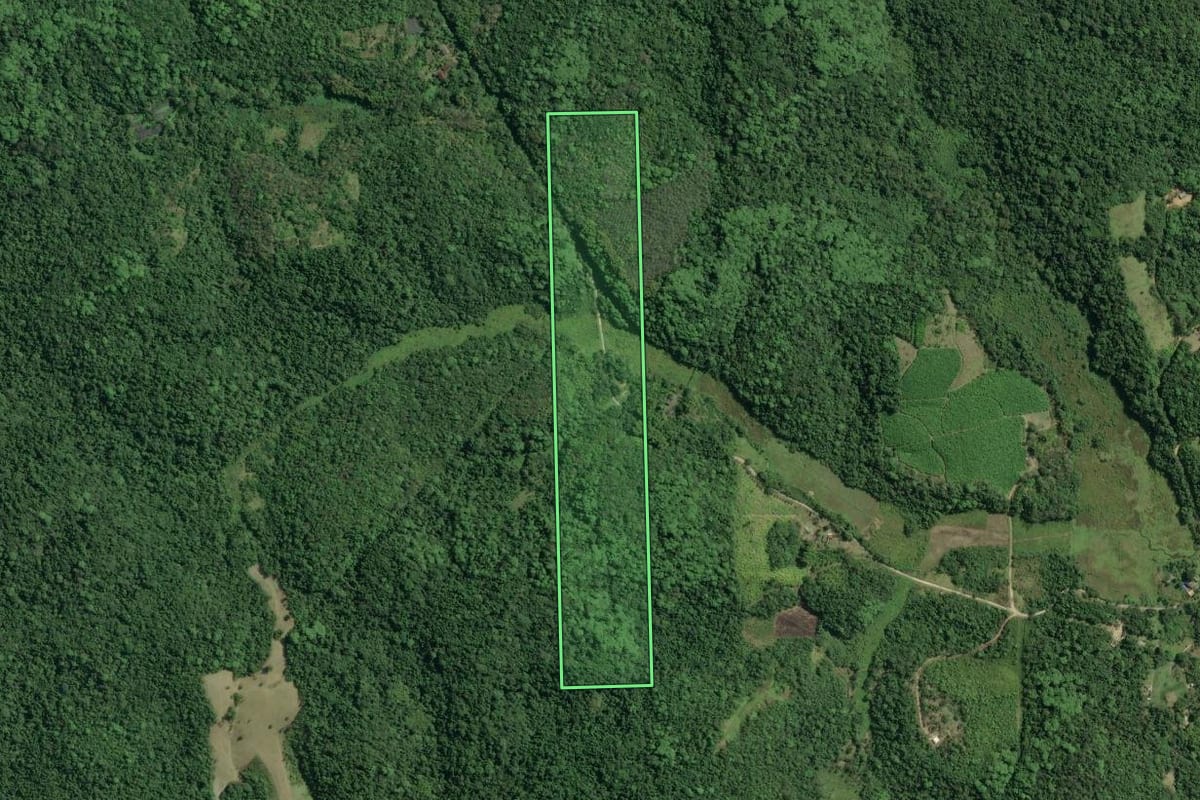Imagem de satélite do imóvel rural em Registro (SP), com o contorno declarado no CAR desenhado por cima.