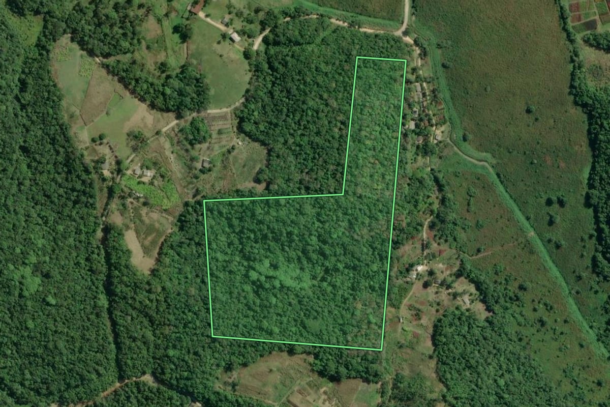 Imagem de satélite do imóvel rural em Registro (SP), com o contorno declarado no CAR desenhado por cima.