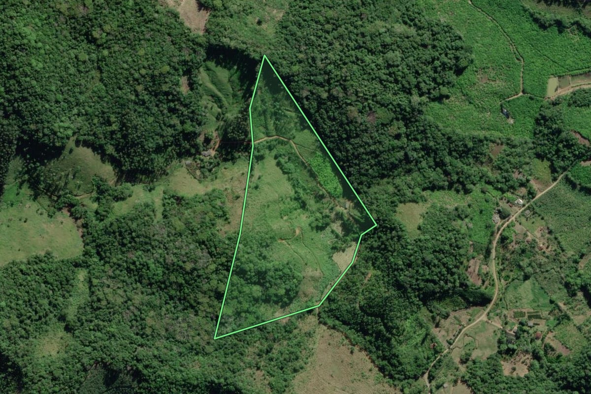 Imagem de satélite do imóvel rural em Registro (SP), com o contorno declarado no CAR desenhado por cima.