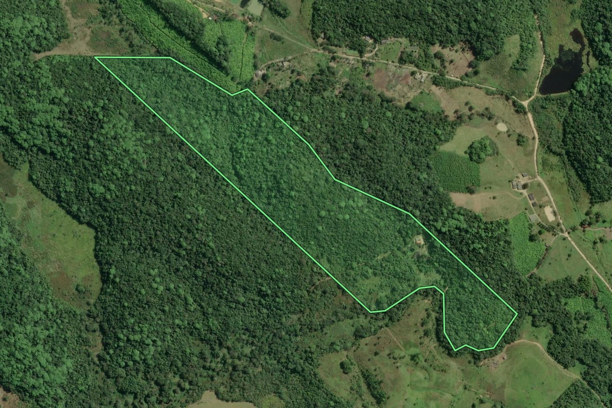 Imagem de satélite do imóvel rural em Registro (SP), com o contorno declarado no CAR desenhado por cima.