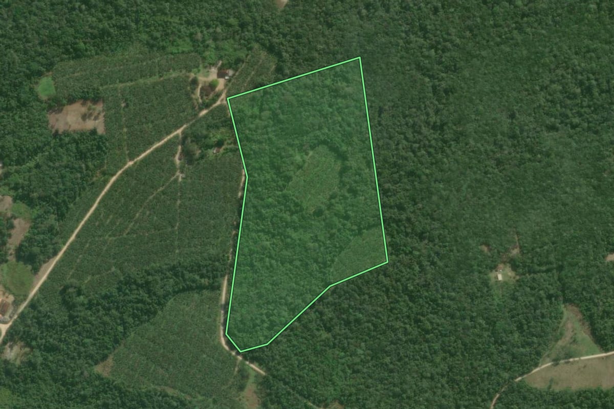 Imagem de satélite do imóvel rural em Registro (SP), com o contorno declarado no CAR desenhado por cima.