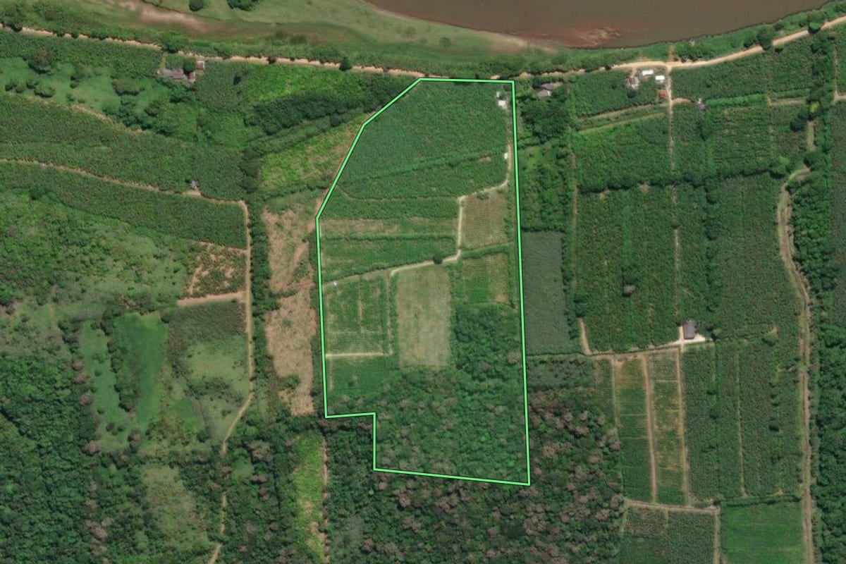 Imagem de satélite do imóvel rural em Registro (SP), com o contorno declarado no CAR desenhado por cima.