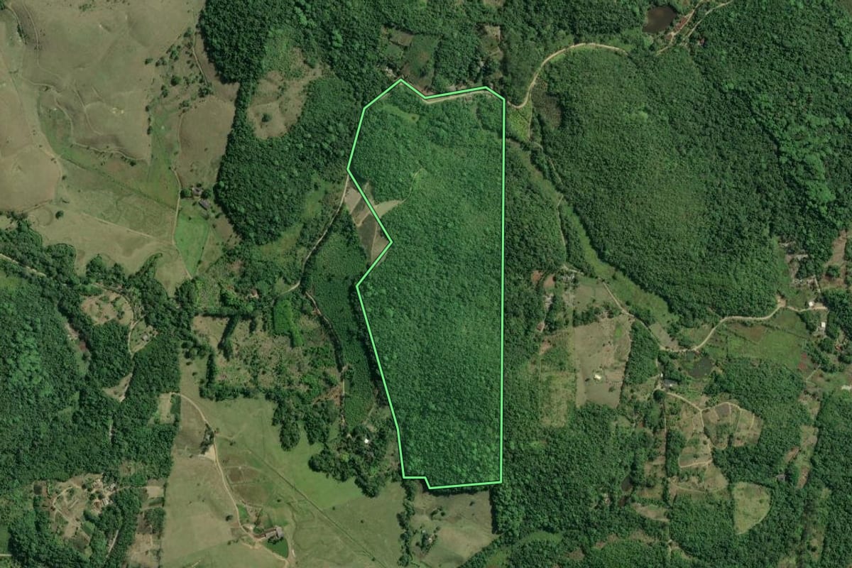Imagem de satélite do imóvel rural em Registro (SP), com o contorno declarado no CAR desenhado por cima.