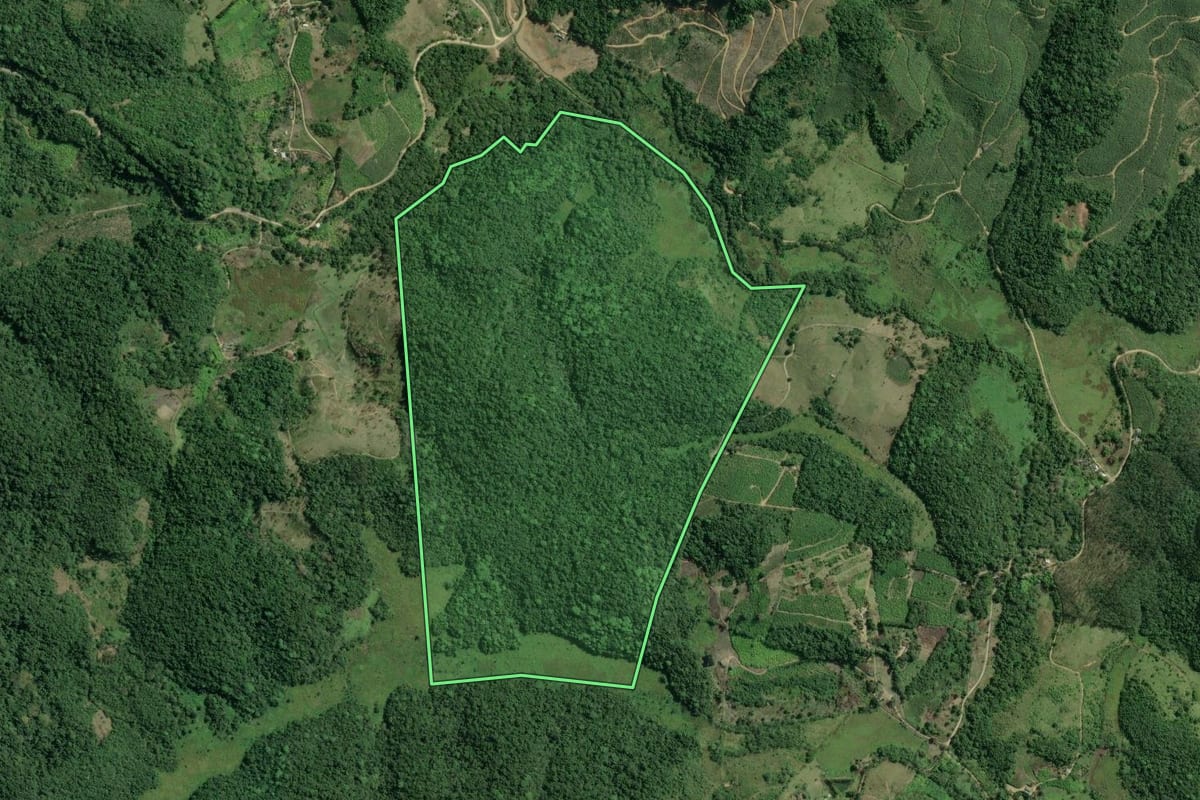 Imagem de satélite do imóvel rural em Registro (SP), com o contorno declarado no CAR desenhado por cima.