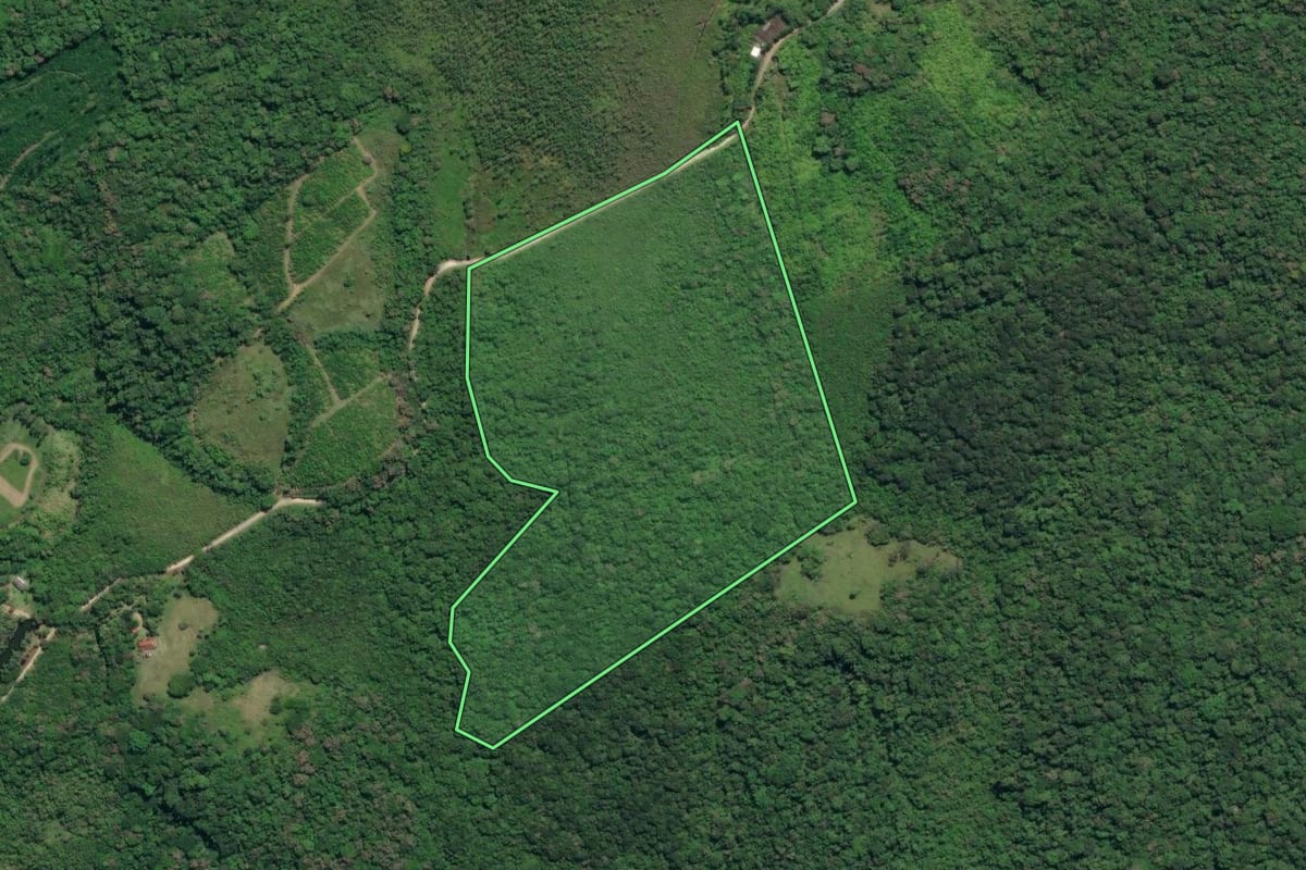 Imagem de satélite do imóvel rural em Registro (SP), com o contorno declarado no CAR desenhado por cima.