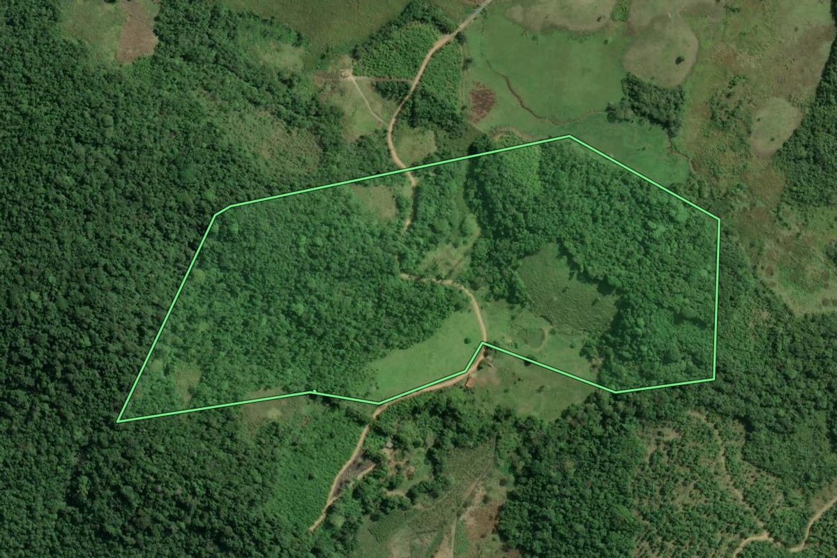 Imagem de satélite do imóvel rural em Registro (SP), com o contorno declarado no CAR desenhado por cima.