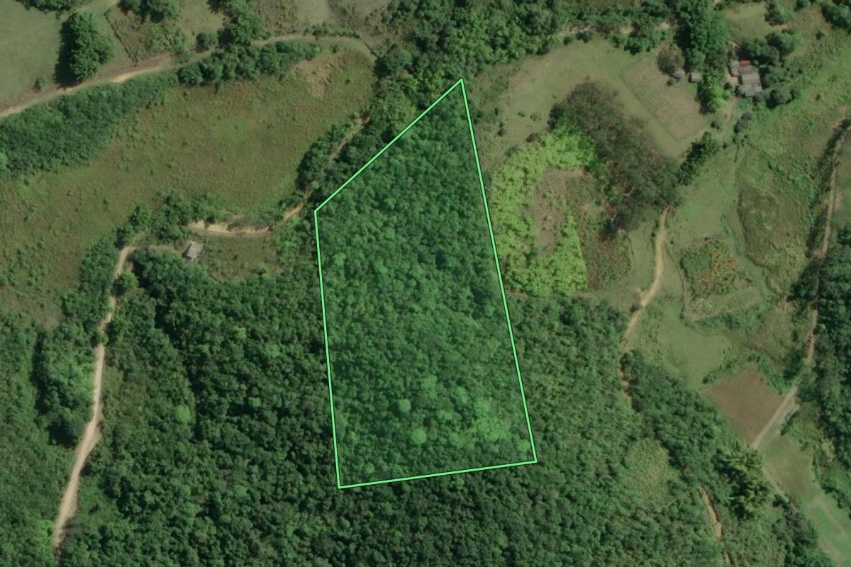 Imagem de satélite do imóvel rural em Registro (SP), com o contorno declarado no CAR desenhado por cima.
