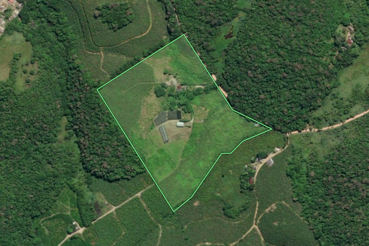 Imagem de satélite do imóvel rural em Registro (SP), com o contorno declarado no CAR desenhado por cima.