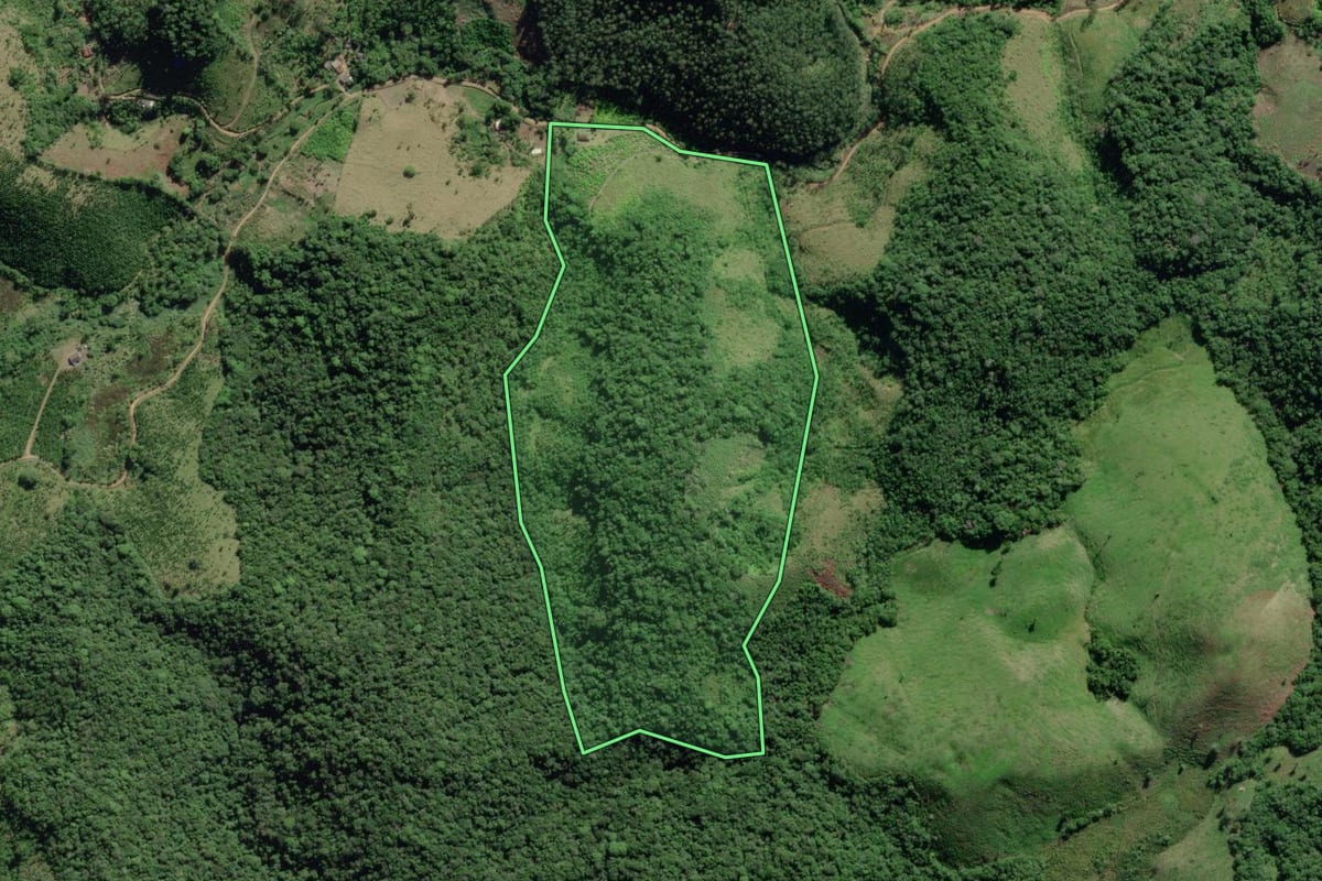 Imagem de satélite do imóvel rural em Registro (SP), com o contorno declarado no CAR desenhado por cima.