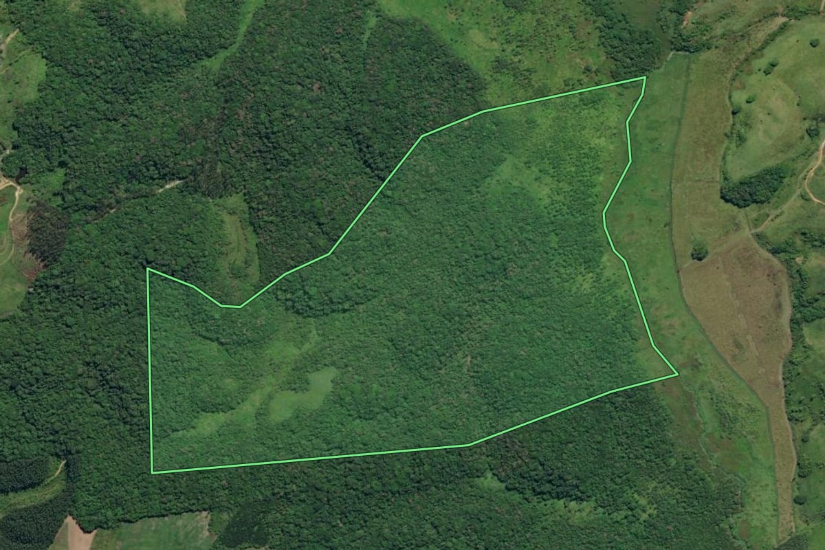 Imagem de satélite do imóvel rural em Registro (SP), com o contorno declarado no CAR desenhado por cima.