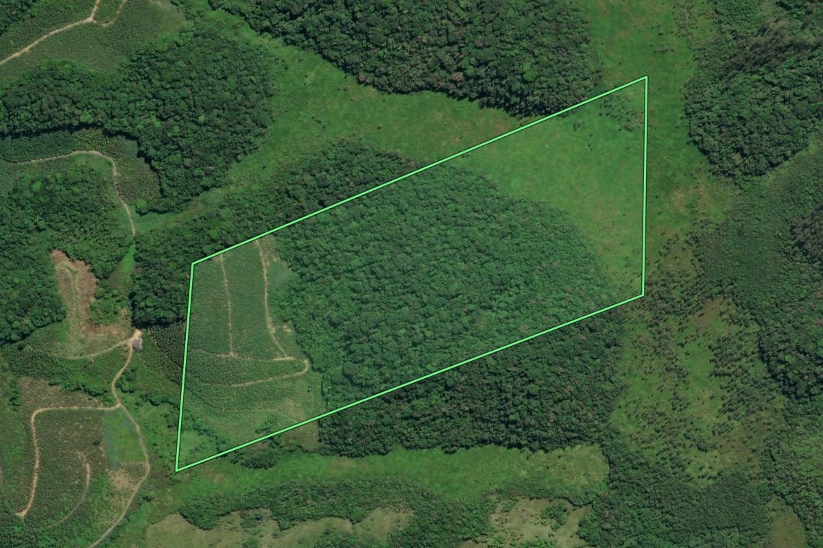 Imagem de satélite do imóvel rural em Registro (SP), com o contorno declarado no CAR desenhado por cima.