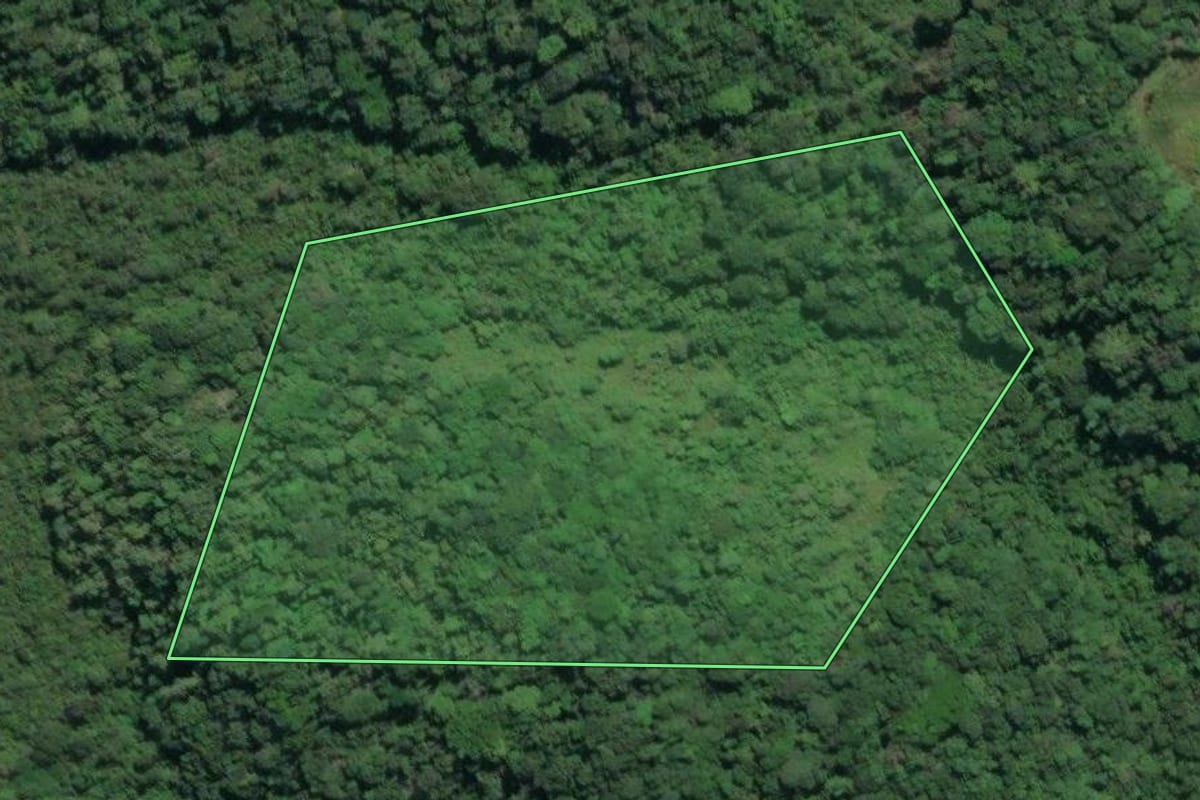 Imagem de satélite do imóvel rural em Registro (SP), com o contorno declarado no CAR desenhado por cima.