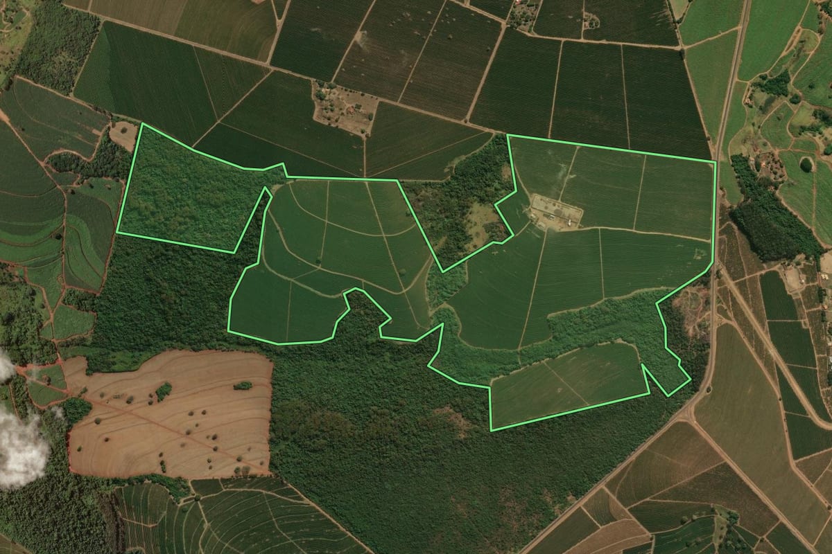 Imagem de satélite do imóvel rural em Restinga (SP), com o contorno declarado no CAR desenhado por cima.