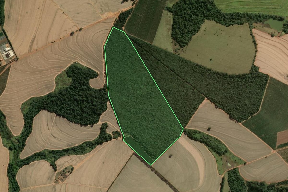 Imagem de satélite do imóvel rural em Restinga (SP), com o contorno declarado no CAR desenhado por cima.