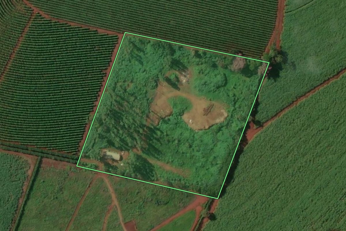 Imagem de satélite do imóvel rural em Restinga (SP), com o contorno declarado no CAR desenhado por cima.