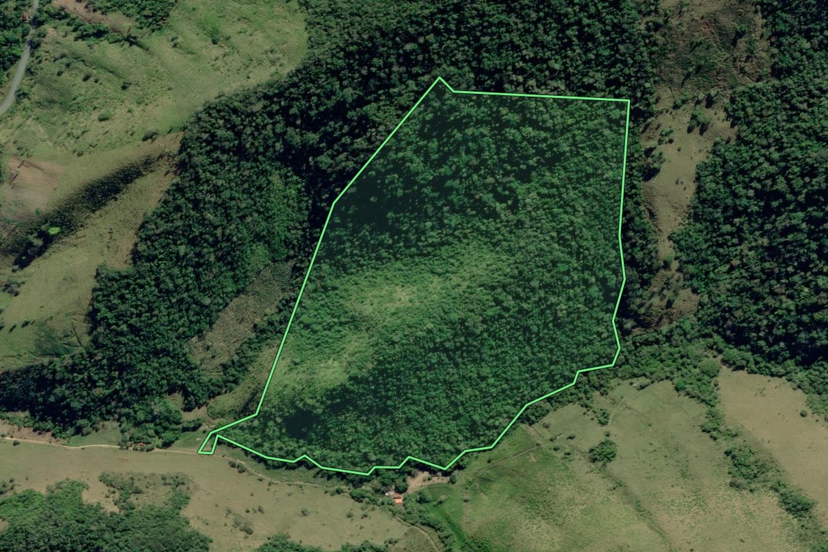 Imagem de satélite do imóvel rural em Ribeira (SP), com o contorno declarado no CAR desenhado por cima.