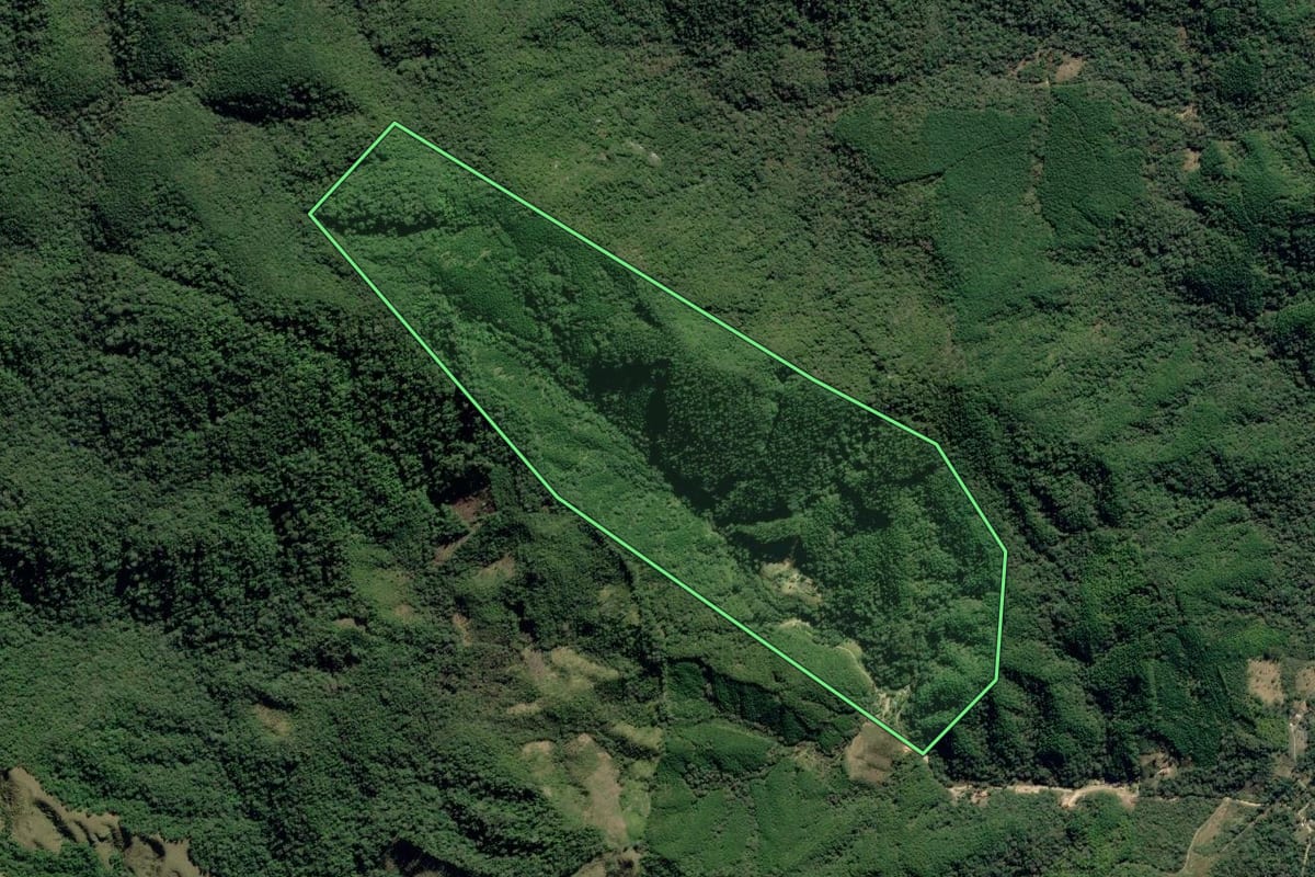 Imagem de satélite do imóvel rural em Ribeira (SP), com o contorno declarado no CAR desenhado por cima.