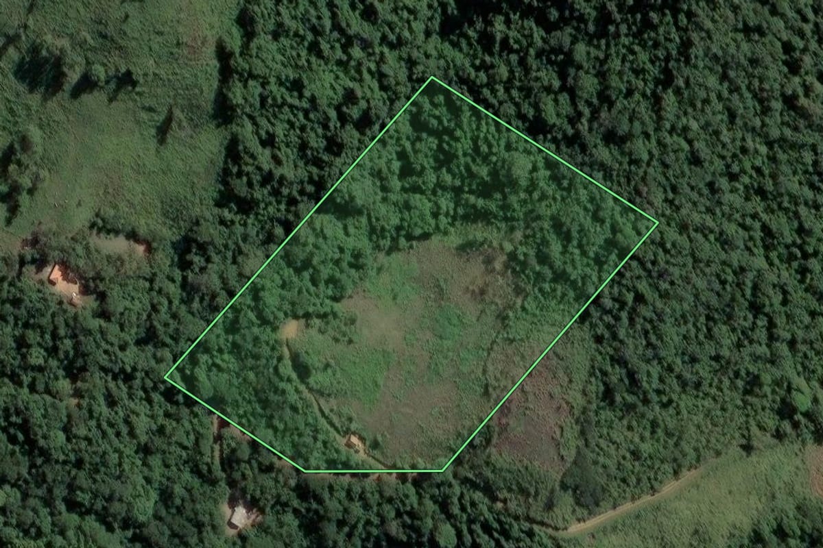 Imagem de satélite do imóvel rural em Ribeira (SP), com o contorno declarado no CAR desenhado por cima.