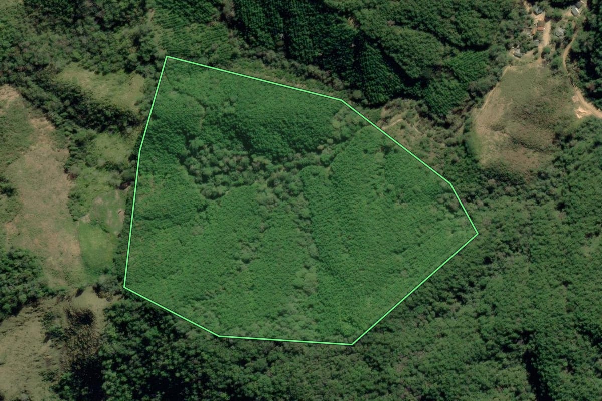 Imagem de satélite do imóvel rural em Ribeira (SP), com o contorno declarado no CAR desenhado por cima.