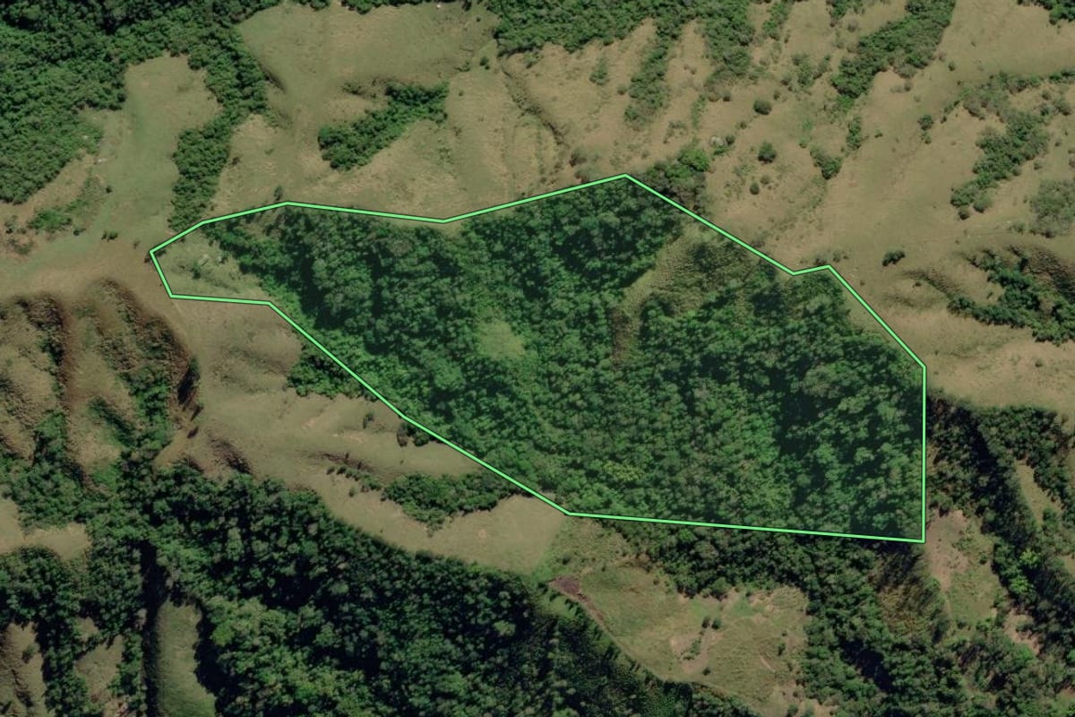 Imagem de satélite do imóvel rural em Ribeira (SP), com o contorno declarado no CAR desenhado por cima.
