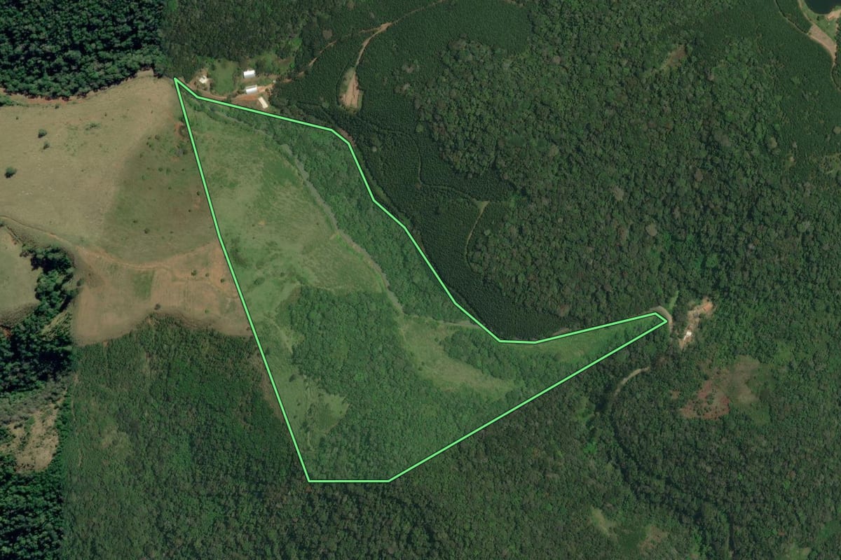 Imagem de satélite do imóvel rural em Ribeira (SP), com o contorno declarado no CAR desenhado por cima.