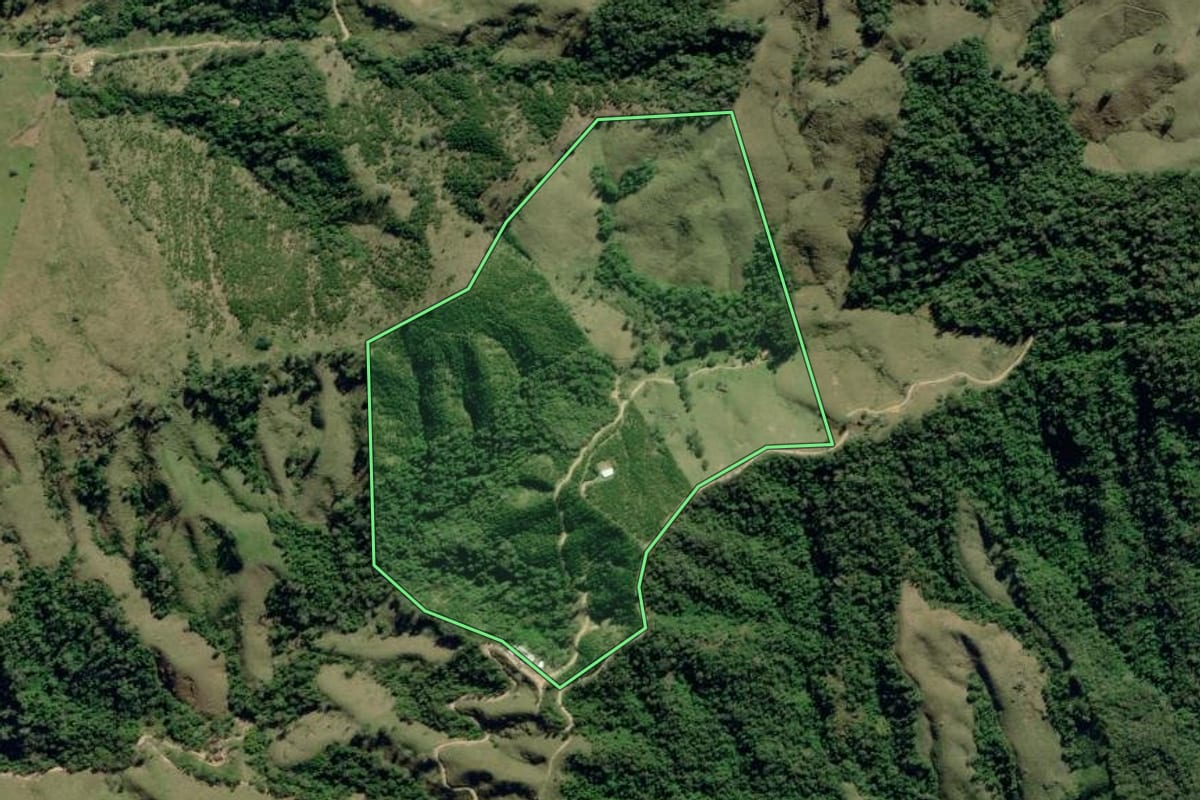 Imagem de satélite do imóvel rural em Ribeira (SP), com o contorno declarado no CAR desenhado por cima.