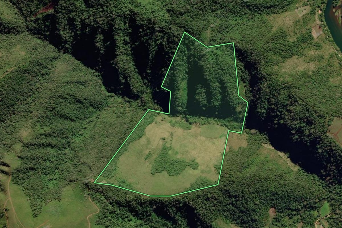 Imagem de satélite do imóvel rural em Ribeira (SP), com o contorno declarado no CAR desenhado por cima.
