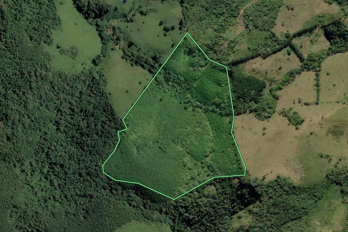 Imagem de satélite do imóvel rural em Ribeira (SP), com o contorno declarado no CAR desenhado por cima.