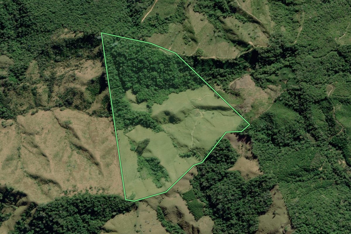 Imagem de satélite do imóvel rural em Ribeira (SP), com o contorno declarado no CAR desenhado por cima.