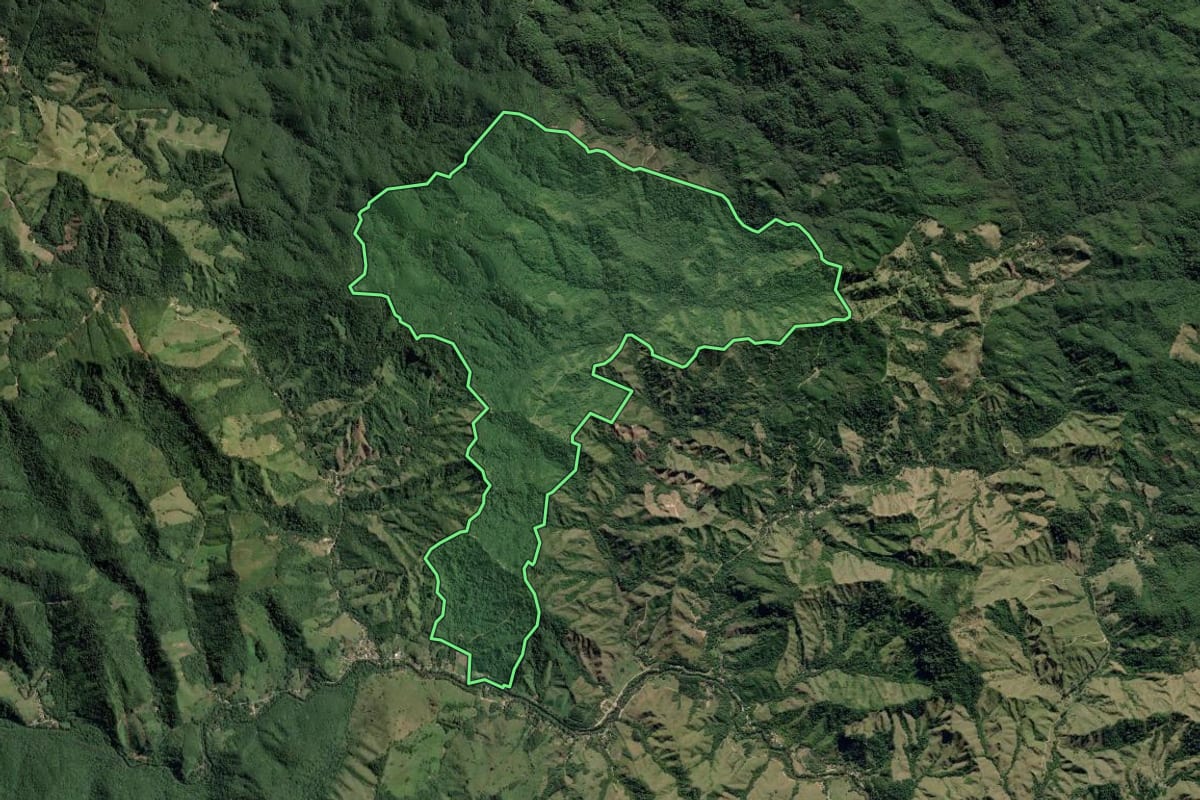 Imagem de satélite do imóvel rural em Ribeira (SP), com o contorno declarado no CAR desenhado por cima.