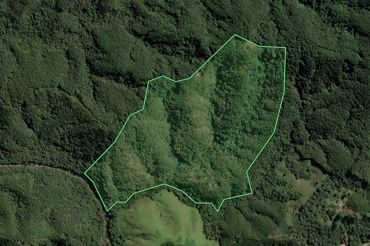 Imagem de satélite do imóvel rural em Ribeira (SP), com o contorno declarado no CAR desenhado por cima.