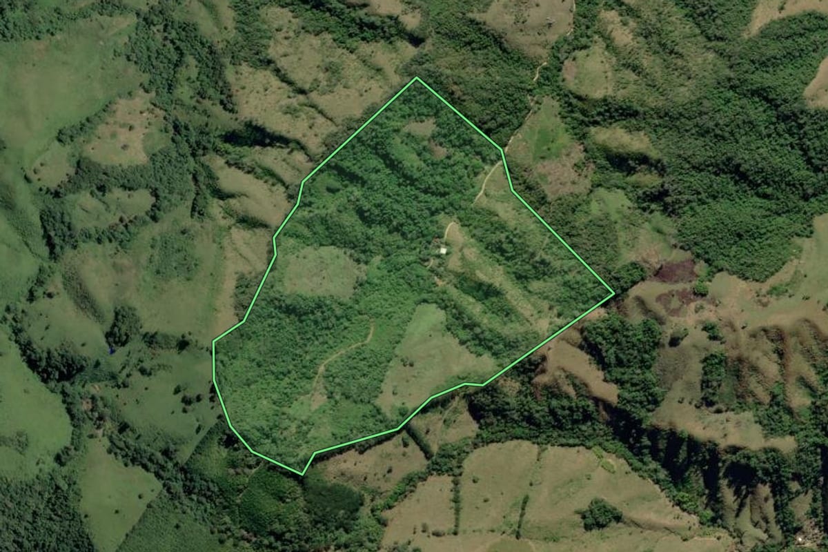 Imagem de satélite do imóvel rural em Ribeira (SP), com o contorno declarado no CAR desenhado por cima.