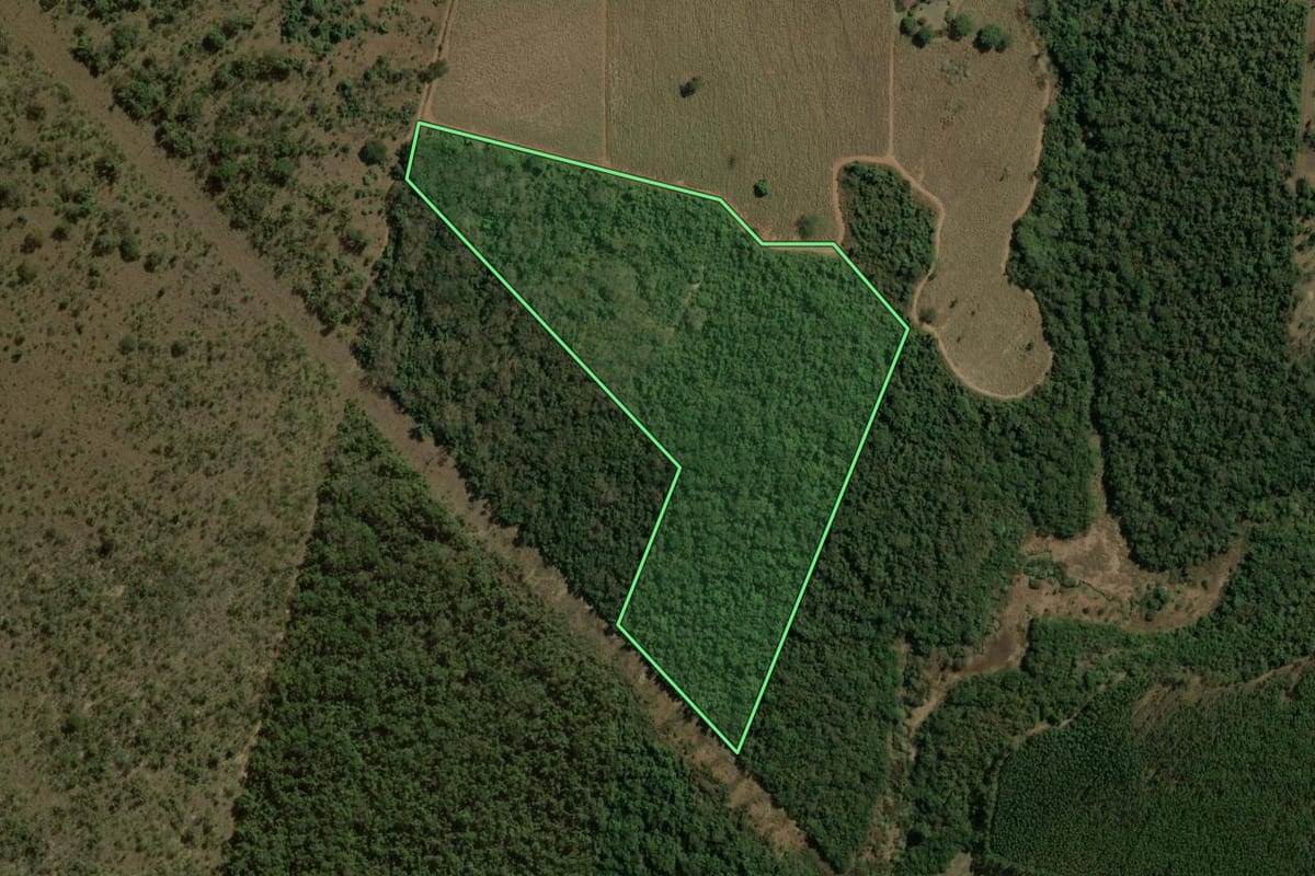 Imagem de satélite do imóvel rural em Ribeirão Bonito (SP), com o contorno declarado no CAR desenhado por cima.