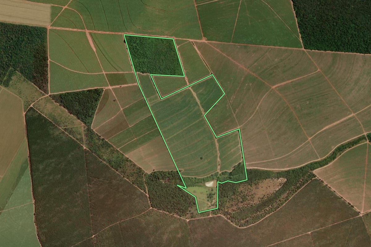 Imagem de satélite do imóvel rural em Ribeirão Bonito (SP), com o contorno declarado no CAR desenhado por cima.