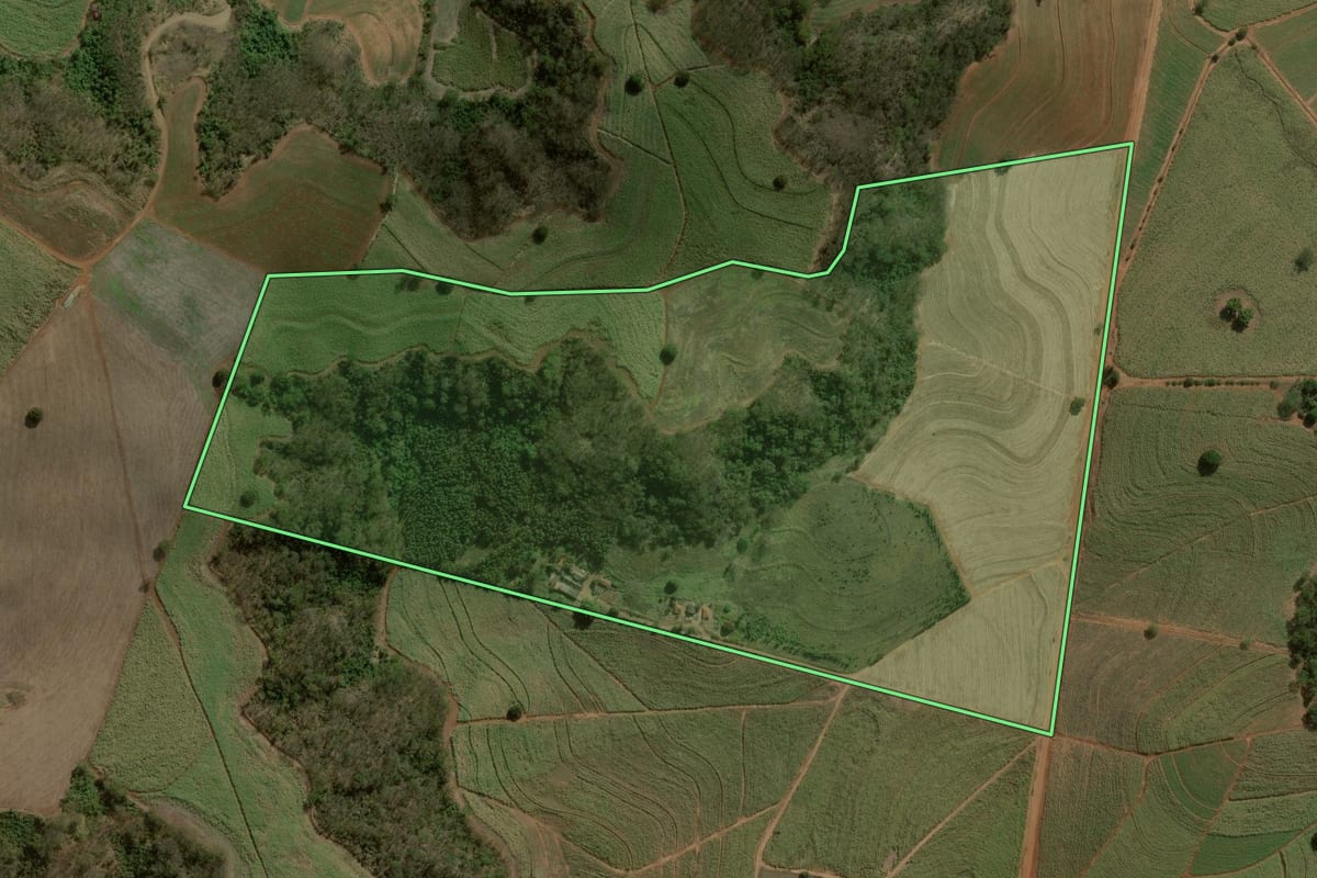 Imagem de satélite do imóvel rural em Ribeirão Bonito (SP), com o contorno declarado no CAR desenhado por cima.