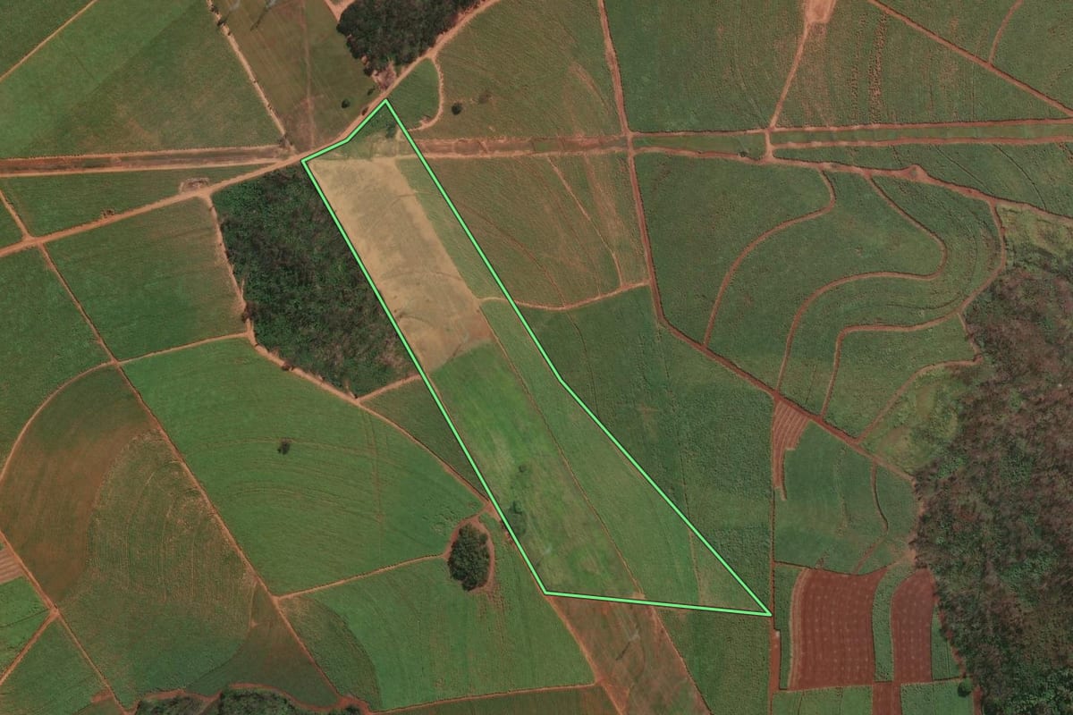 Imagem de satélite do imóvel rural em Ribeirão Bonito (SP), com o contorno declarado no CAR desenhado por cima.
